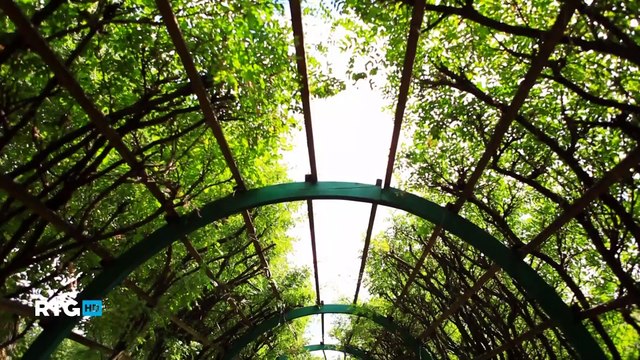 081 Гатчинский дворец