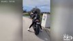 XOBIKER - TlKT0K - BIKERGIRL - bikelover travelthrowback viral foryou kawasaki ninja motorcycle foryoupage travelthrowback tiktokprom bikergirl bike