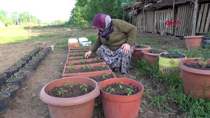 DÜZCE KORONAVİRÜS ÜRETİME YÖNLENDİRDİ