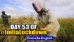 Day 53: States prepare for a much more relaxed Lockdown 4.0 till May end | Oneindia News