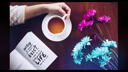 True lines | Top 40 Motivational Quotes