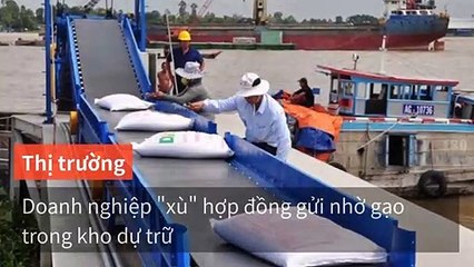 baodatviet.vn.my-copy4-20200516-14:38