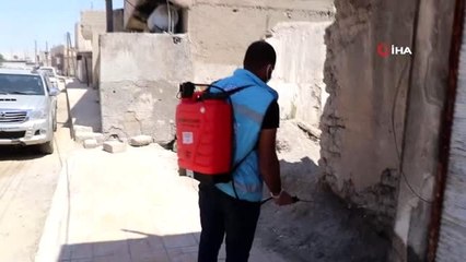 - Barış Pınarı bölgesinde haşereyle mücadele sürüyor