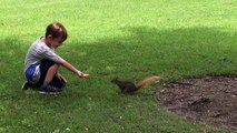 Logan Xavier 2018 07 21 Squirrel Feeding 2