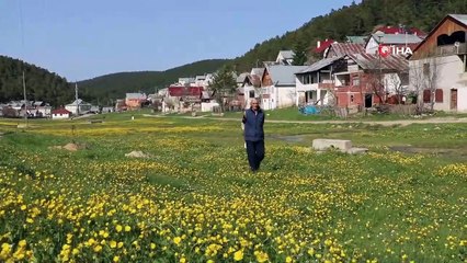 Sivas'ın Ayder'i, (Eğriçimen Yaylası) Bu Yıl Öksüz Kaldı