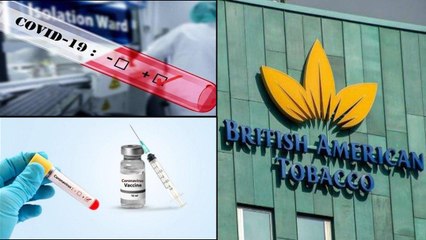 COVID-19 Vaccine : Tobacco-Based Potential COVID-19 Vaccine Is Ready