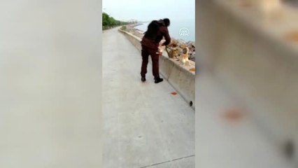 Kartal'da bekçiler sokak hayvanlarını besledi