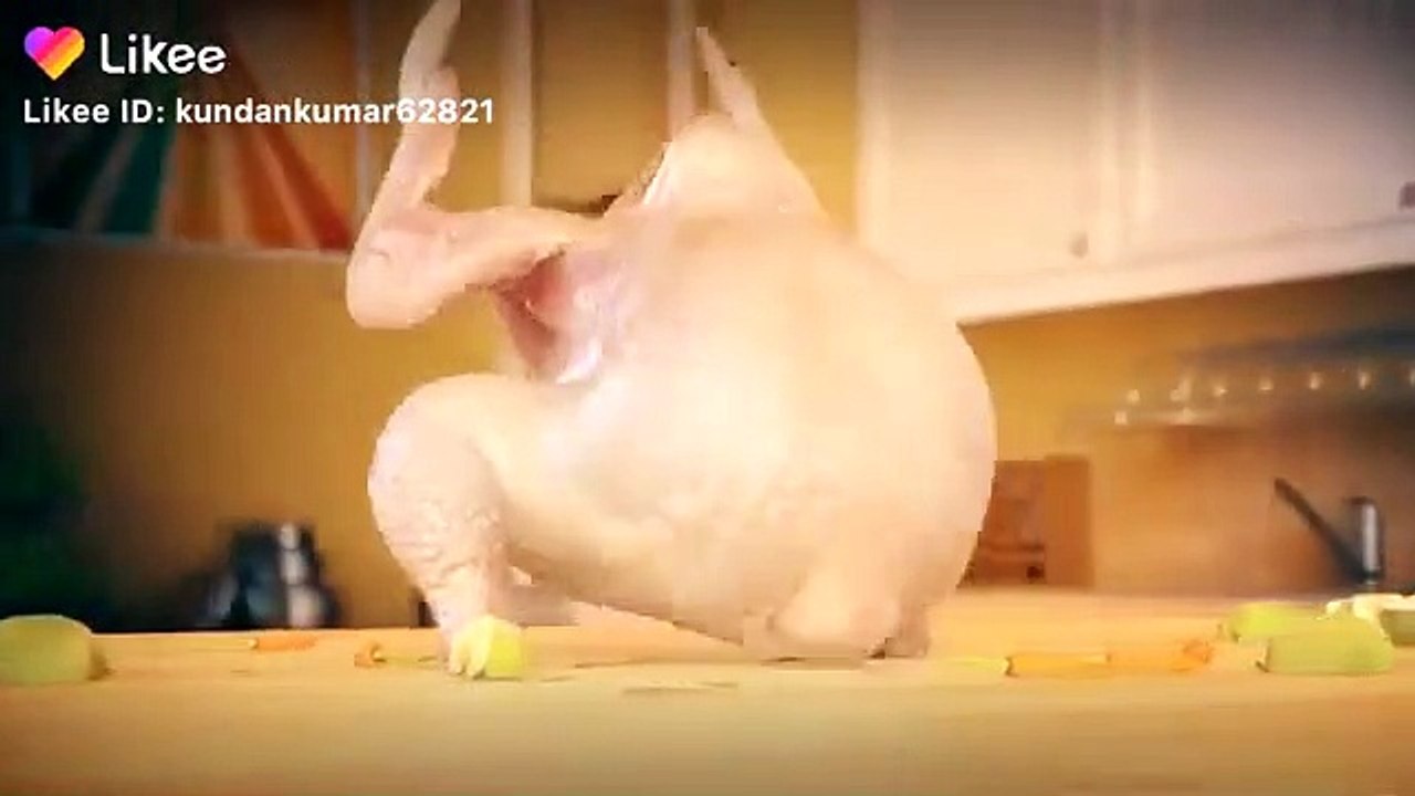 polti morgi dance