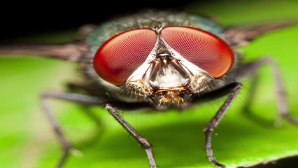 Why Can We See Our Breath In The Cold? | ghost | water vapor | hindhi\urdu