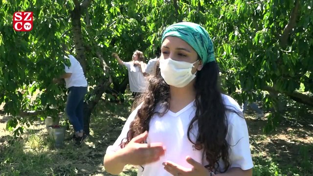 İzmirli gençlerden üreticiye gönüllü destek