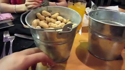 Rescuing a Dying Kitten