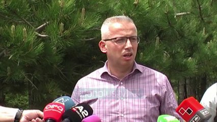 “Luftë” për të shpëtuar pishat, hidhen insekte kundër Procesionares - Vizion Plus