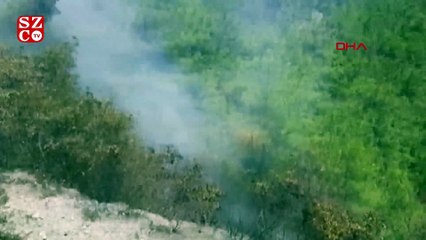 Yemek pişirmek isterken ormanı yaktı