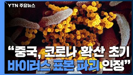 中 "코로나19 바이러스 표본 일부 파괴"..."美, WHO에 중국 수준 분담금 지원" / YTN