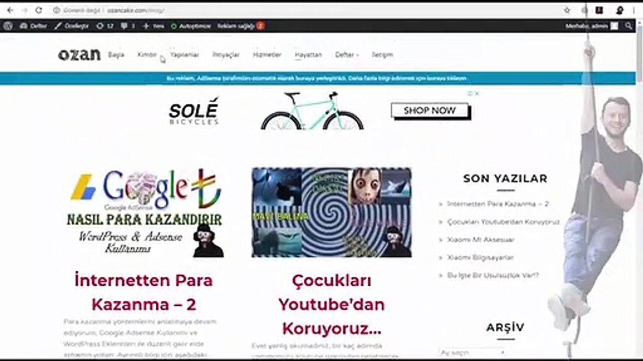 Wordpress header.php Script Ekleme