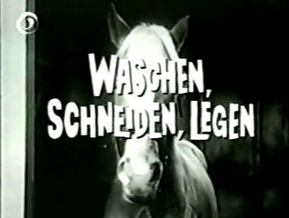 Mr. Ed - 056. Waschen, schneiden, legen
