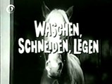 Mr. Ed - 056. Waschen, schneiden, legen
