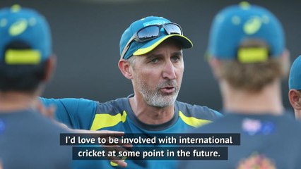 Gillespie would ‘love’ future international job