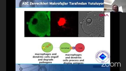 BOĞAZİÇİ ÜNİVERSİTESİ'NDE KORONAVİRÜS AŞISI ÇALIŞMALARI- 2