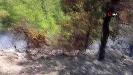 Yumurta pişirirken orman yangını çıkardı