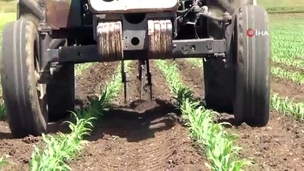 Kısıtlamadan Muaf Çiftçiler Sıcağa Rağmen İş Başında