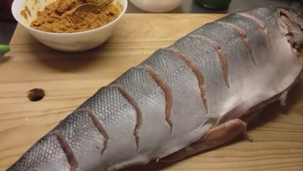 Whole Salmon fish Barbecue II How to grill Whole Salmon fish  II Salmon fish fry II By Banglar rannabanna II Habib's space II Salmon fish er grill II kibhabe Salmon fish er grill korte hoiIIVery testy salmon fish Barbecue recipe.Home made Salmon fishGrill