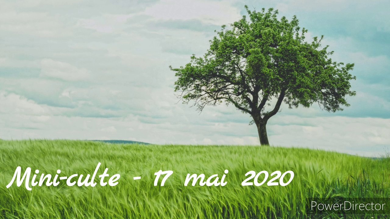 Mini-culte - 17 mai 2020