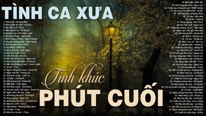 PHÚT CUỐI - Dòng Nhạc Tình Ca Xưa Phòng Trà Sang Trọng  Nghe Về Đêm Là Buồn Rơi Nước Mắt