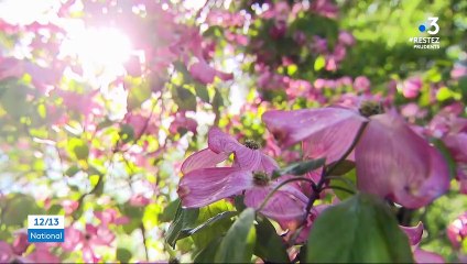 Vosges : un jardin privé attend avec impatience la réouverture