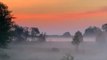 Fog blankets hills at dawn