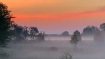 Fog blankets hills at dawn