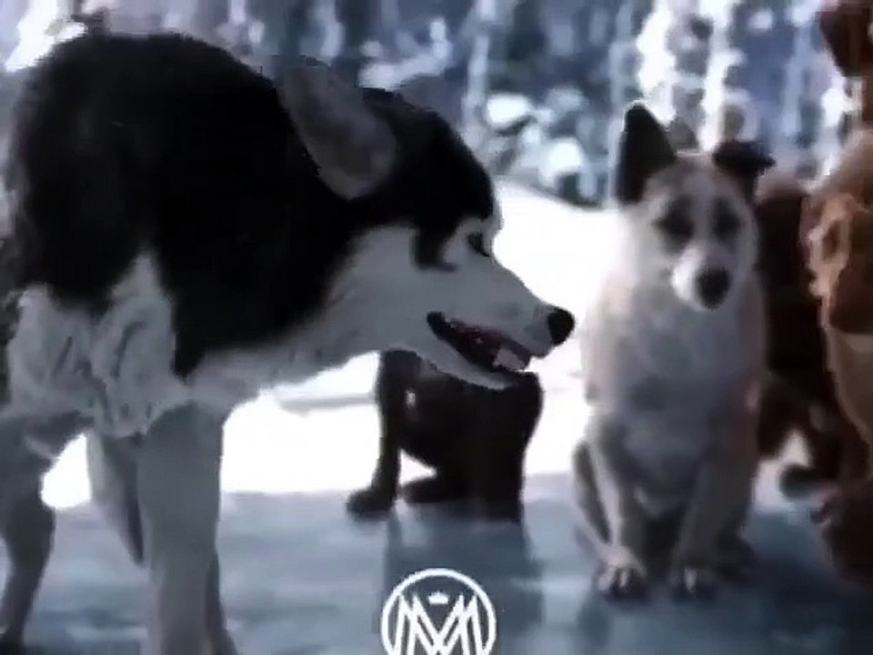 nasıl lider olunur ?liderlik böyle bişey  , herkes lider olamaz, liderlerin özellikleri,comment être un leader? le leadership est une telle chose, tout le monde ne peut pas être un leader, les caractéristiques des leaders,