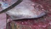 Amazing Pomfret Fish Cutting Video Fastest Big Fish Slicing Black Pomfret Fish Cutting