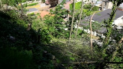 Les coteaux de la citadelle de Namur déboisés