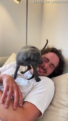 Man Who Never Had a Dog Meets New Puppy