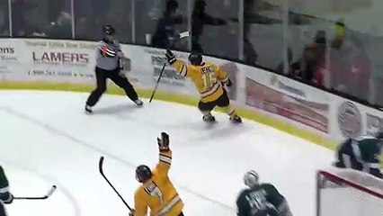 Top 10 Hockey Goals