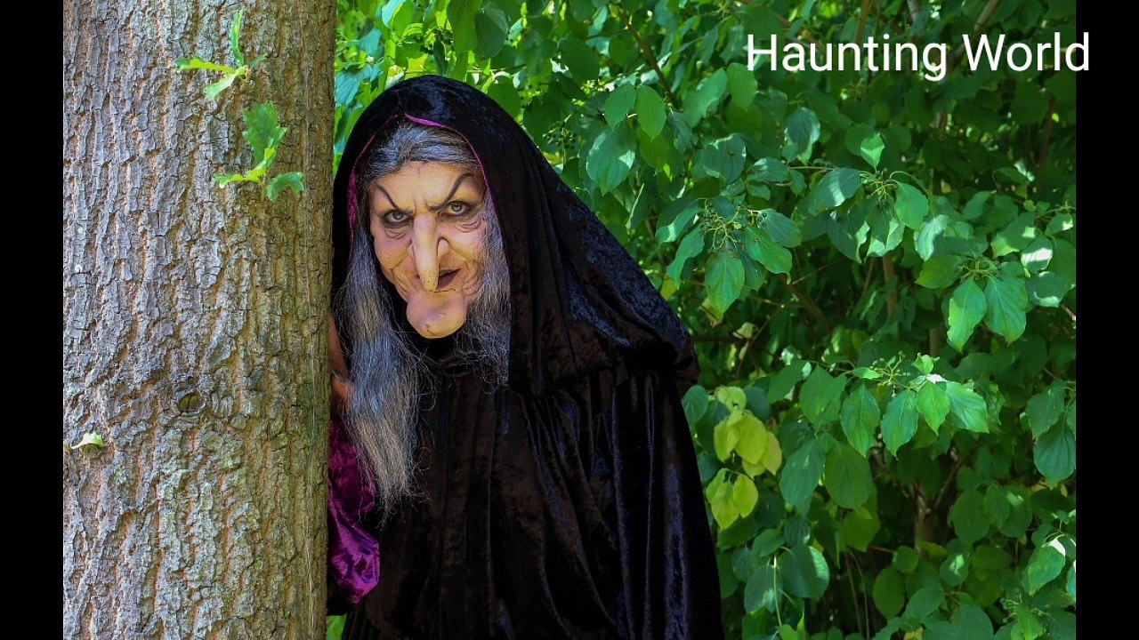 जंगल की चुडैल jungle Ki Chudail (Witch of Forest) Hindi horrar Stories )
