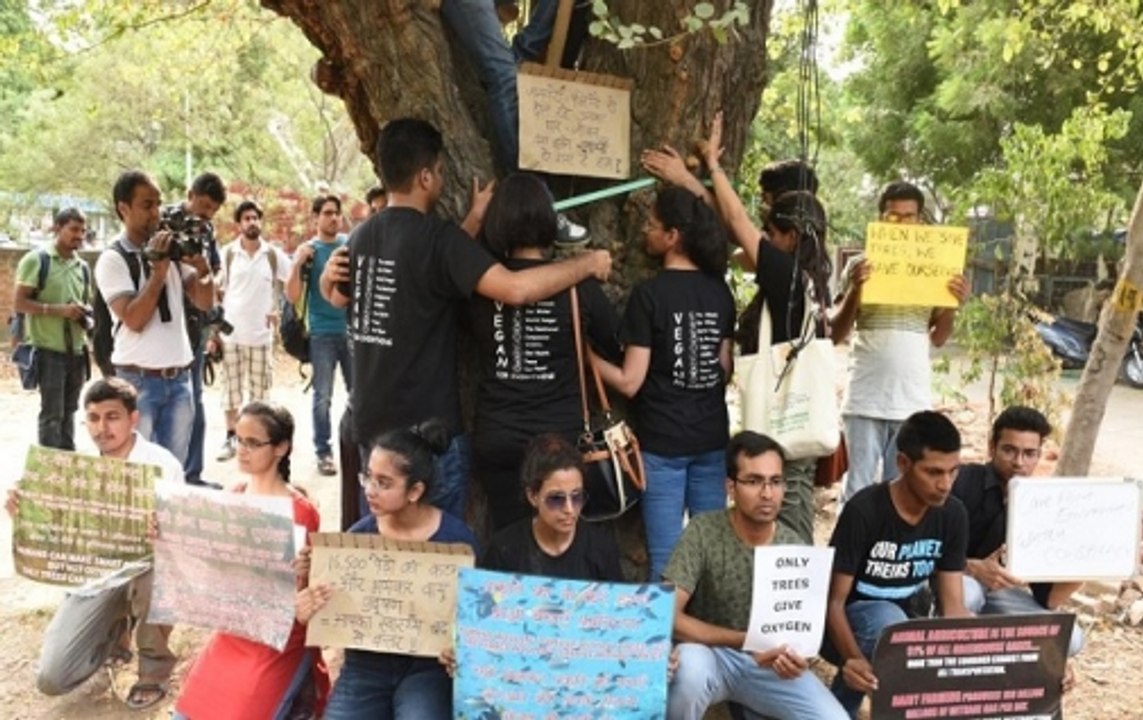 Nation Reporter: Delhi High Court freezes cutting of trees