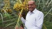 NN Special: Mauritius High Commissioner in India Jagdishwar Goburdhun grows his own fruits and vegetables