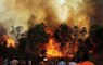 Fire continues to rage in Uttarakhand forests from Garhwal to Kumaon