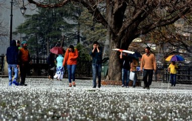Nation Reporter: Hailstorm, rains lash Himachal Pradesh