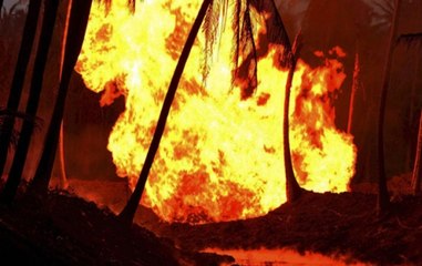 Nation Reporter: Naxals set fire in forest department's wood depot in Maharashtra