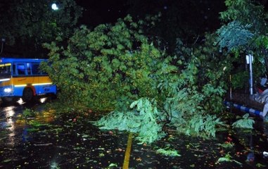Kolkata: At least 15 killed as seasonal storm, heavy rains hit state
