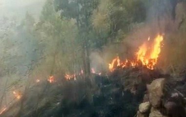 IAF deployed to rescue students trapped in forest fire in Tamil Nadu