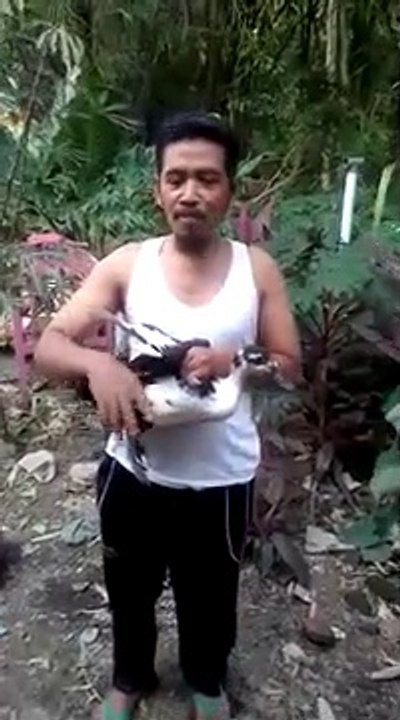 Ketawa aja