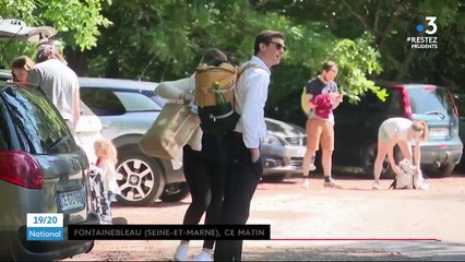 Déconfinement : la forêt de Fontainebleau retrouve son public