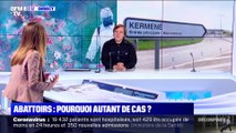 Abattoirs: pourquoi autant de cas ? (2/2) - 16/05