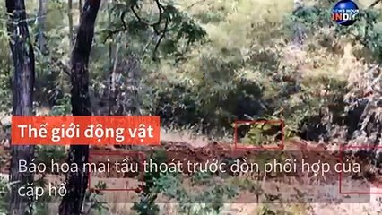 tenmax-baodatviet_rss_mobile-copy1-20200517-14:40