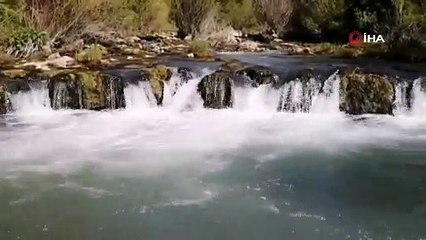 Dünyada sadece Van Gölü'nde yaşıyorlar...Uçan balıkların göçü başladı