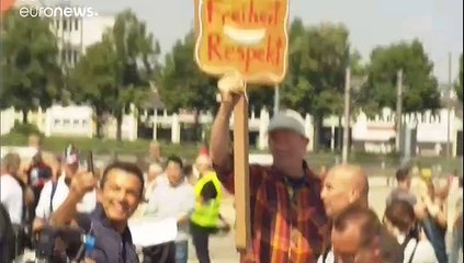 Coronavirus : des manifestants dénoncent des mesures "liberticides"